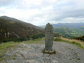 Dodd